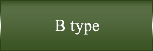 B type